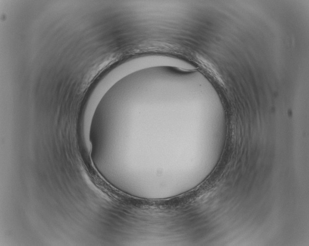 X0000088180538200706121653