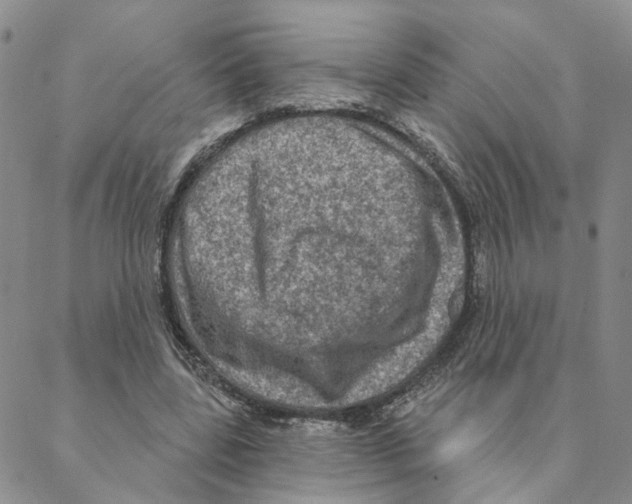 X0000088180539200706121653