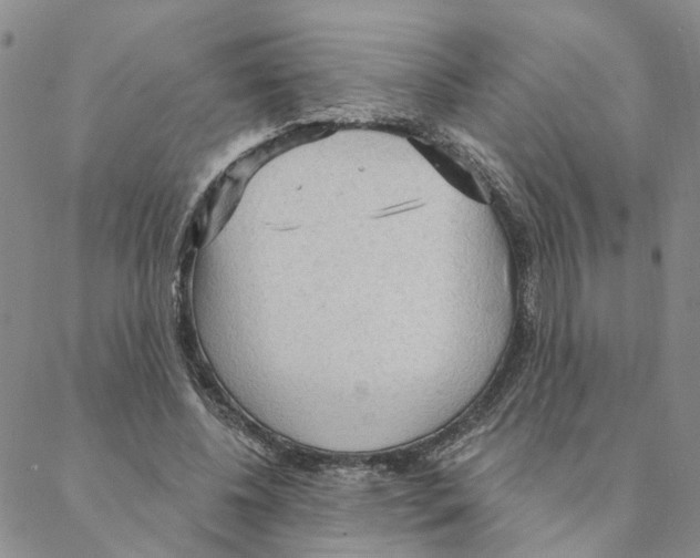 X0000088180540200706121653