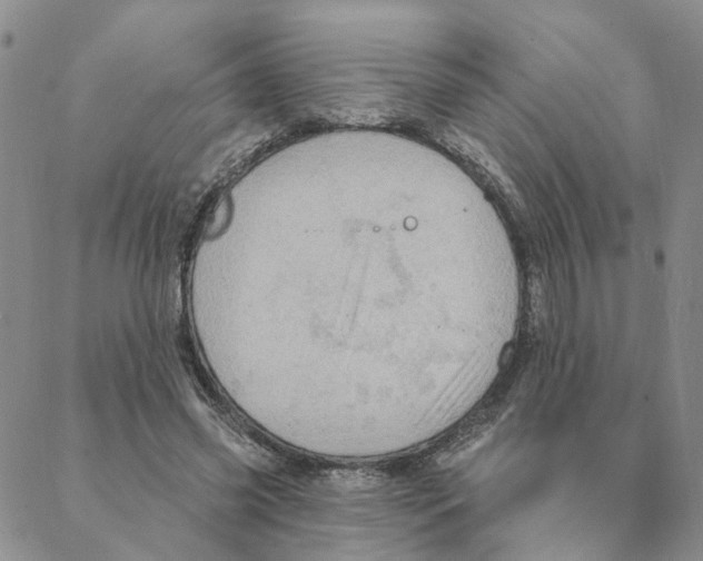 X0000088180541200706121653