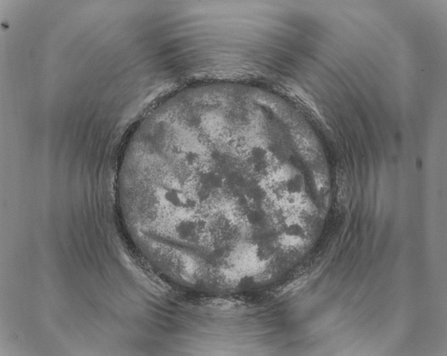 X0000088180542200706121653