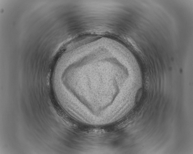 X0000088180543200706121653