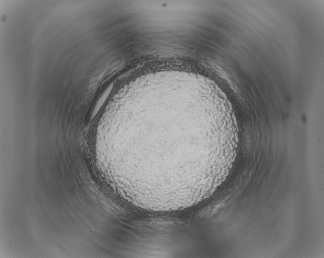 X0000088180545200706121653