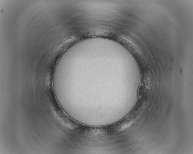 X0000088180546200706121653