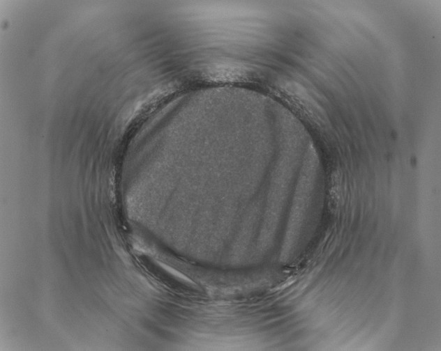 X0000088180547200706121653