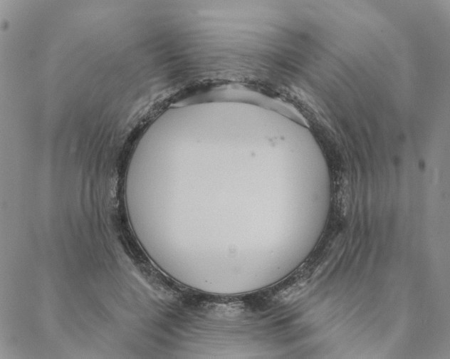 X0000088180548200706121653