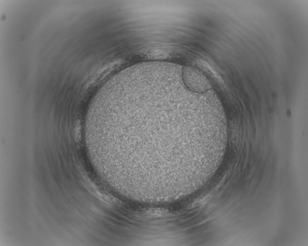 X0000088180549200706121653