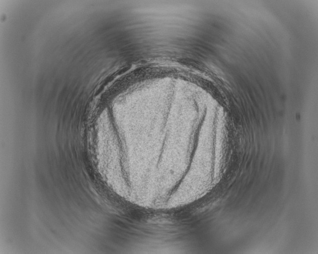 X0000088180550200706121653