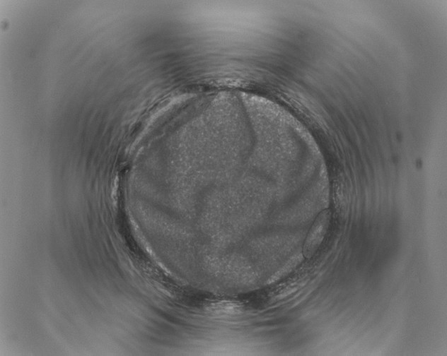 X0000088180551200706121653