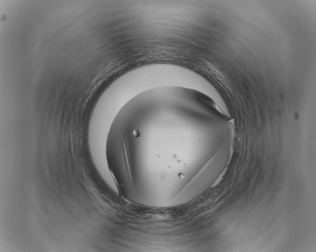 X0000088180552200706121653