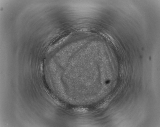 X0000088180553200706121653