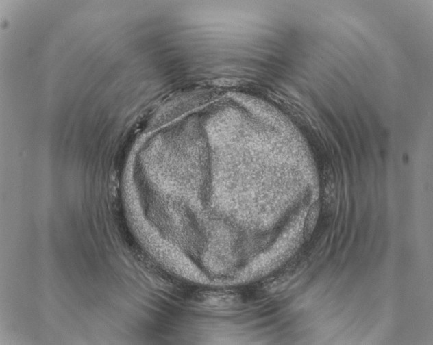 X0000088180555200706121653