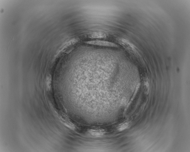 X0000088180556200706121653