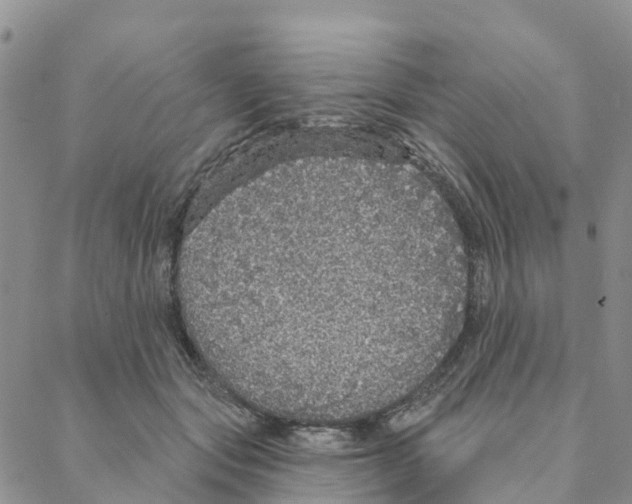 X0000088180557200706121654