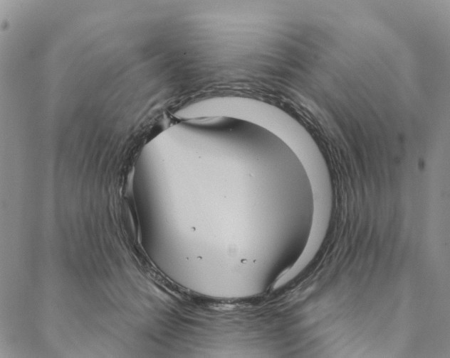 X0000088180558200706121654