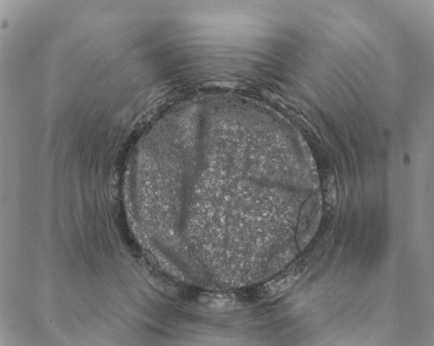 X0000088180559200706121654