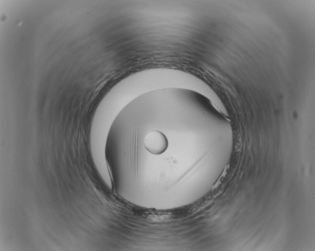 X0000088180560200706121654