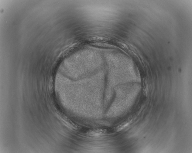 X0000088180563200706121654