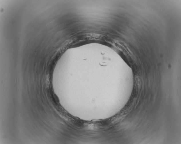 X0000088180564200706121654