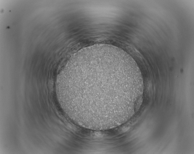 X0000088180565200706121654