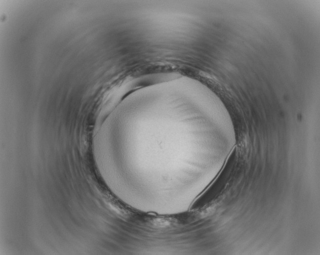 X0000088180566200706121654