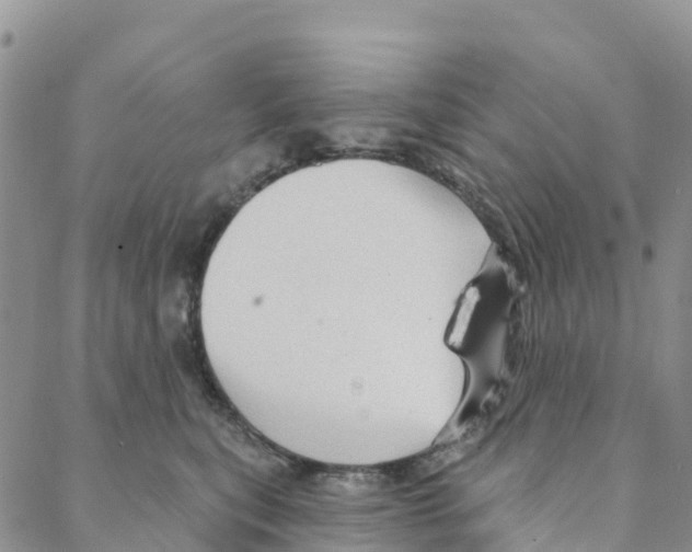 X0000088180567200706121654