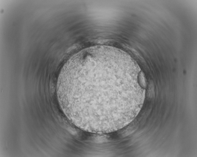 X0000088180569200706121654