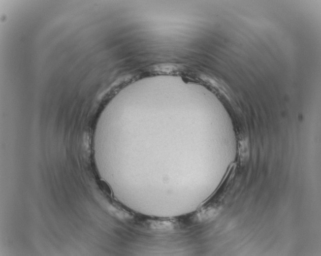 X0000088180572200706121654