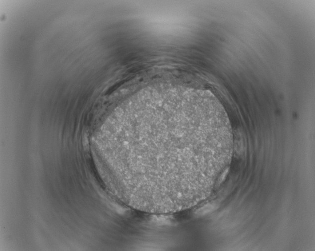 X0000088180573200706121654