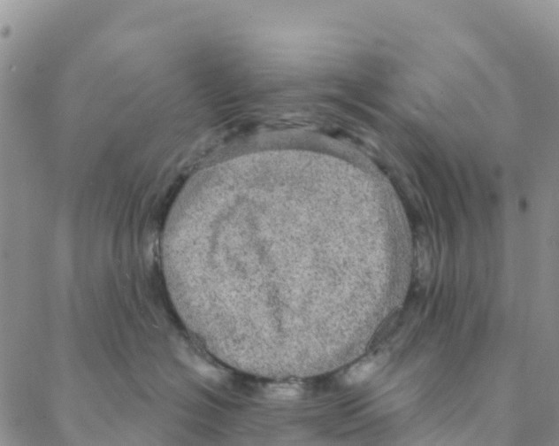 X0000088180574200706121654