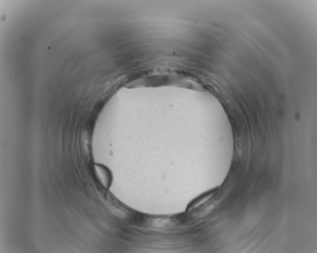 X0000088180575200706121654