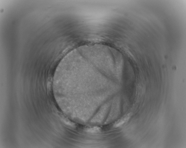 X0000088180576200706121654