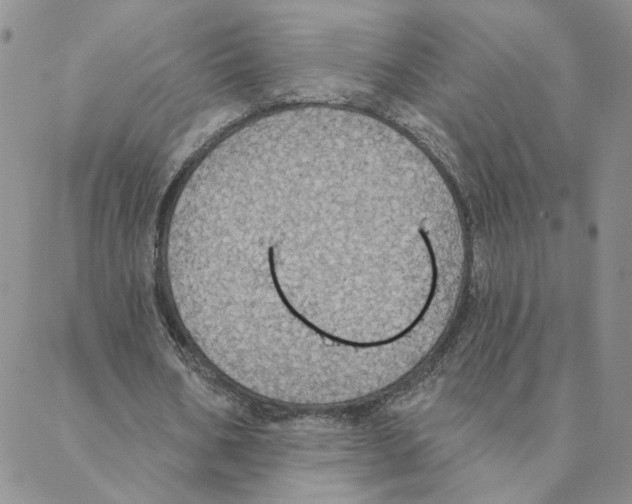 X0000088180578200706121653