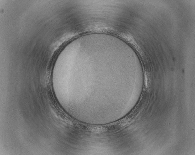 X0000088180579200706121653