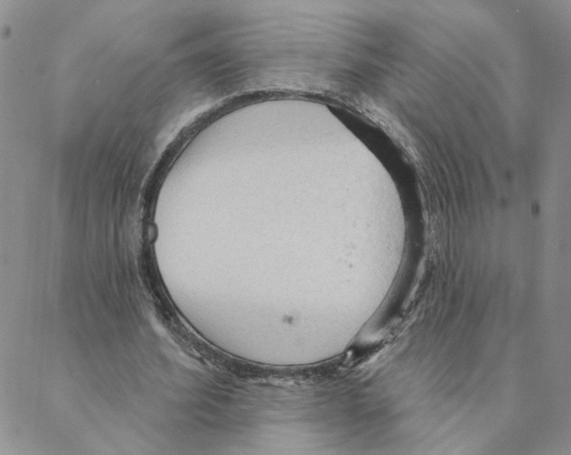 X0000088180580200706121653