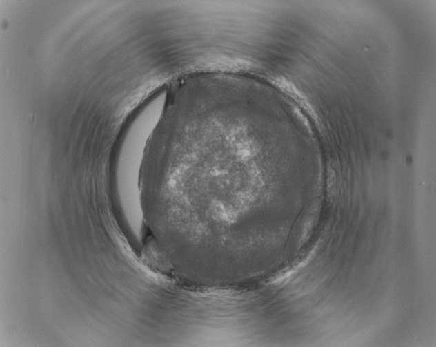 X0000088180581200706121653