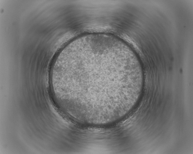 X0000088180582200706121653