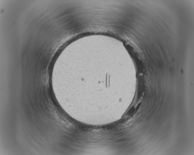 X0000088180584200706121653