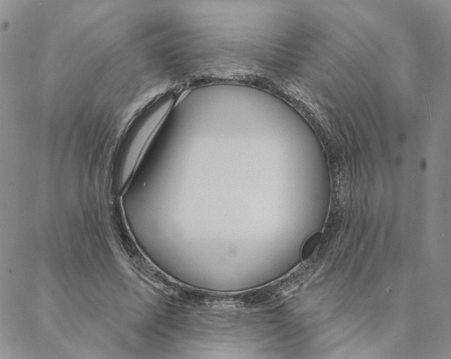 X0000088180587200706121653