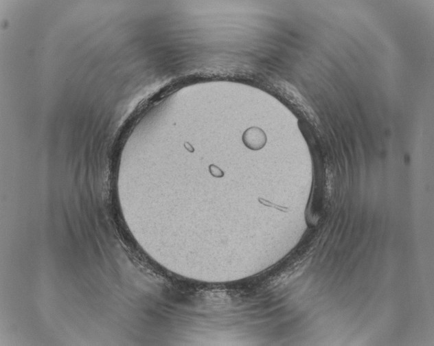 X0000088180588200706121653