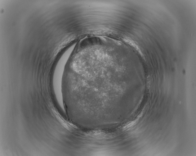 X0000088180589200706121653