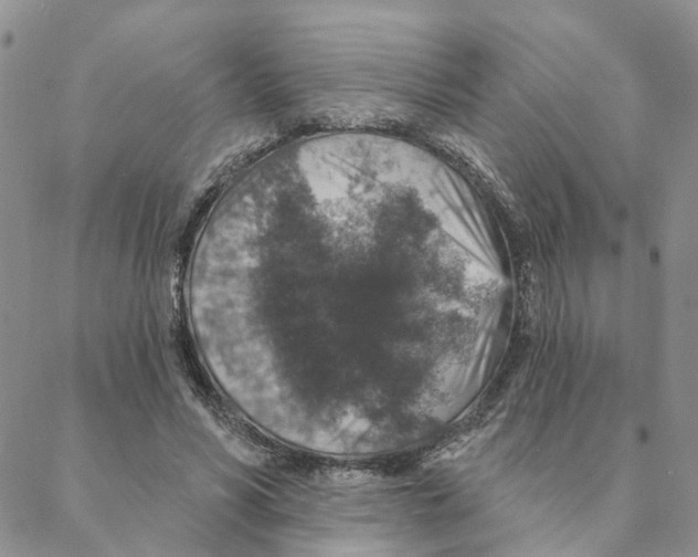 X0000088180590200706121653