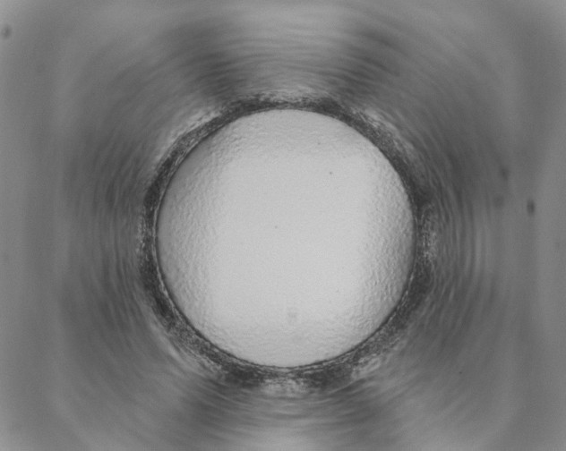 X0000088180591200706121653