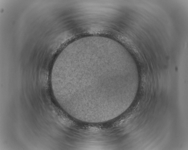 X0000088180592200706121653