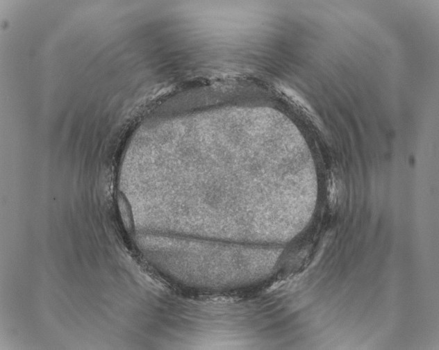 X0000088180593200706121653