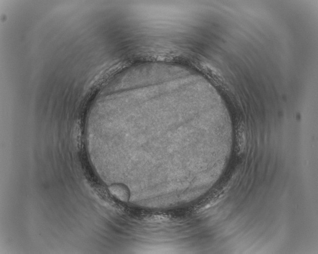 X0000088180594200706121653