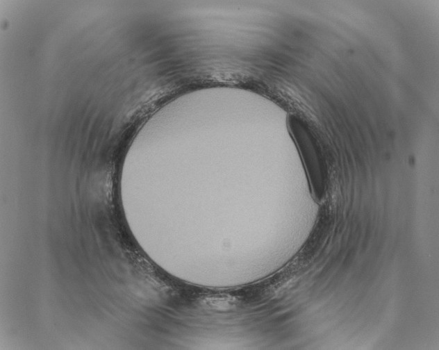 X0000088180595200706121653