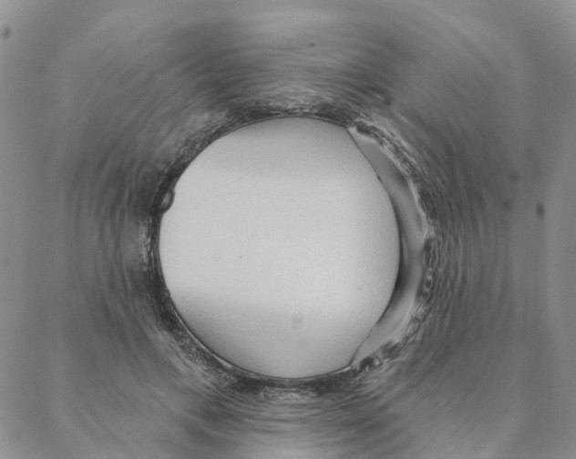 X0000088180597200706121653