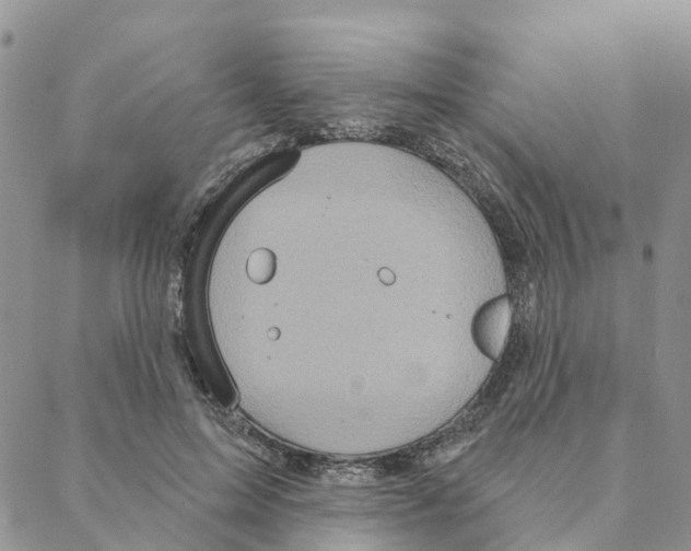 X0000088180599200706121653