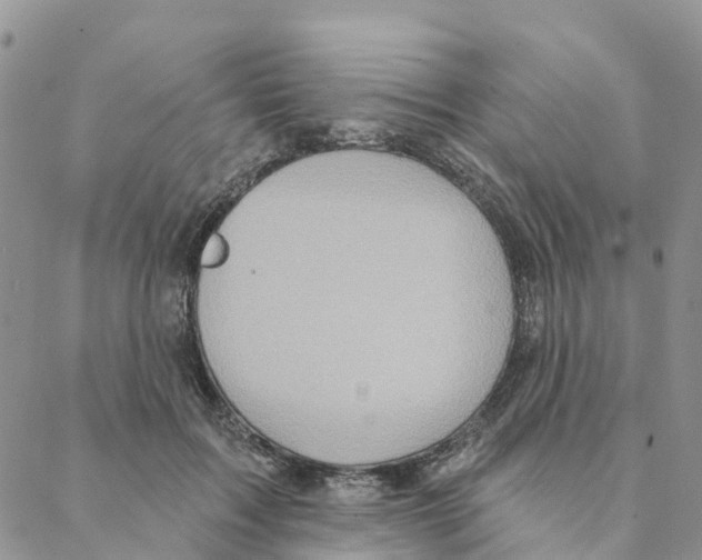 X0000088180603200706121653